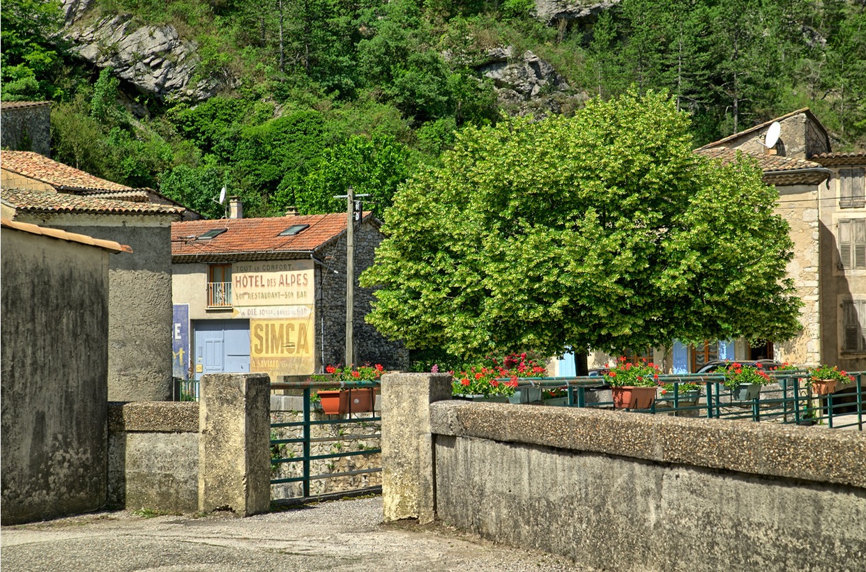 exemple de photo avant traitement vitoile